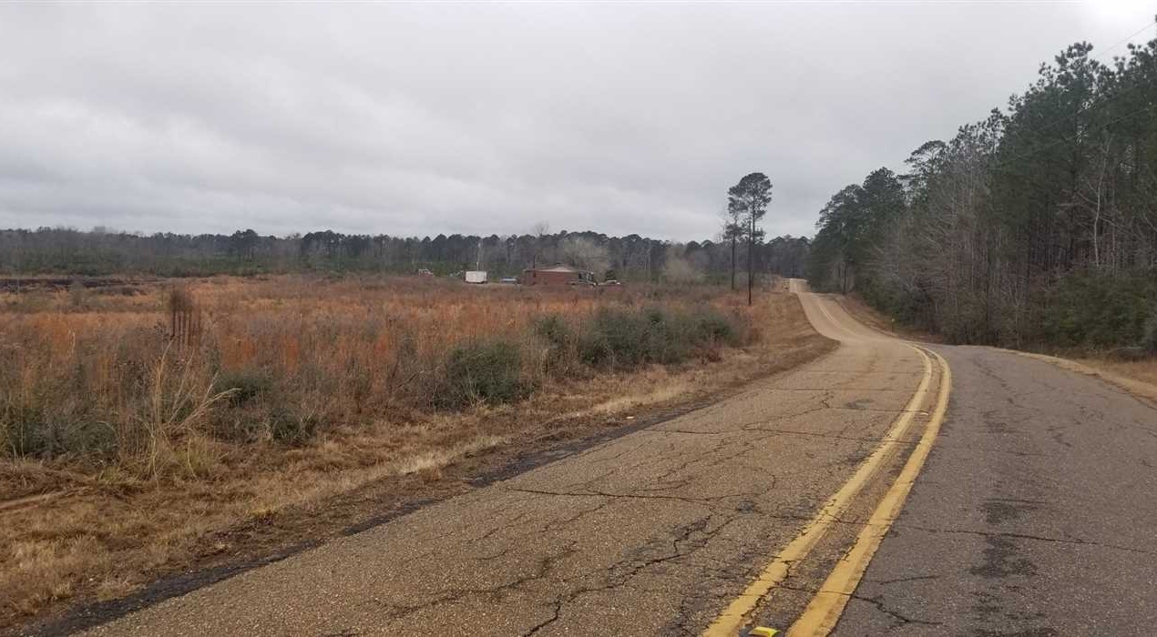 Timberland real estate available to buy