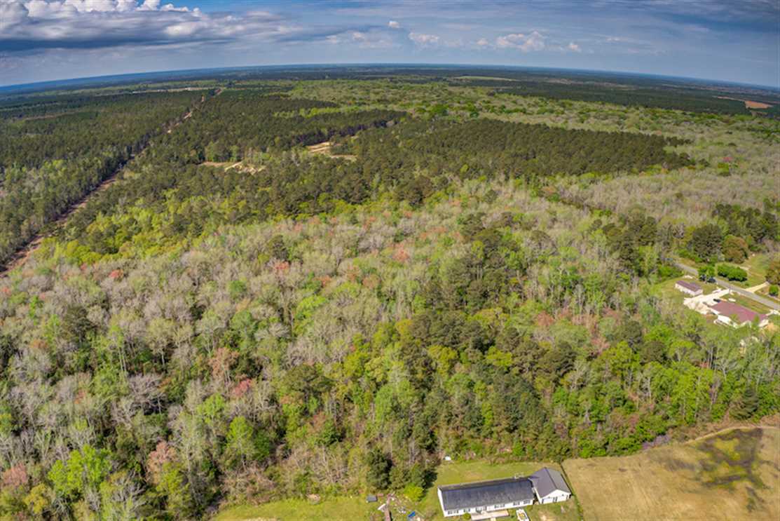 Timberland real estate available to buy
