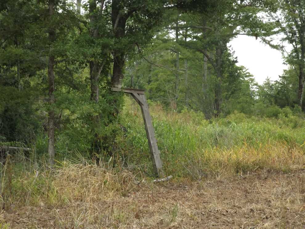 Houses and land for sale in Arkansas