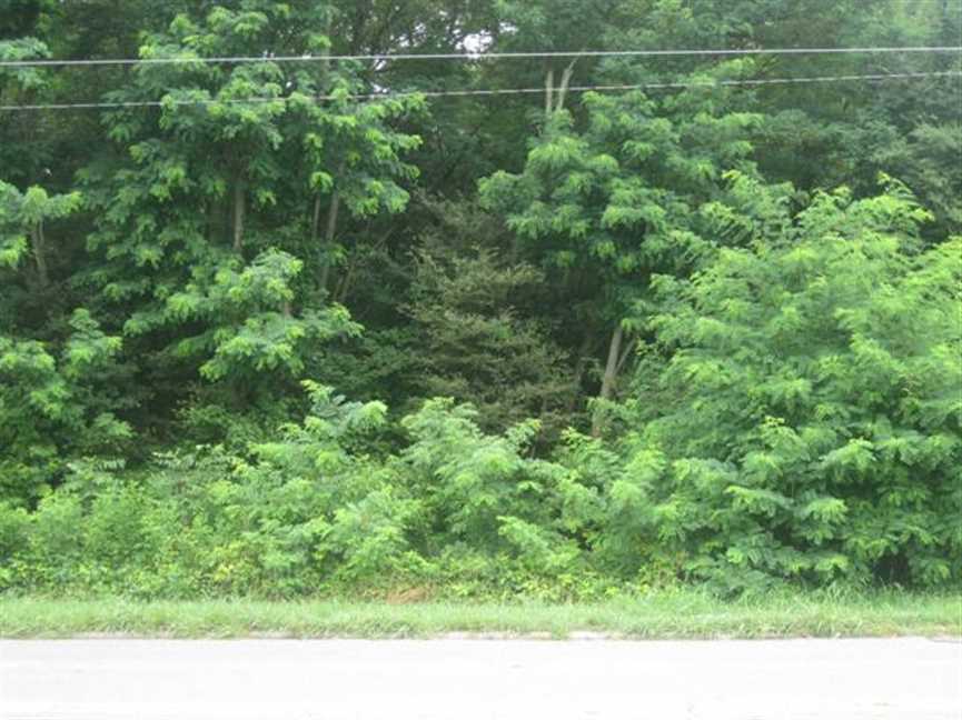 Land for sale at 4.75 Acres Union Road