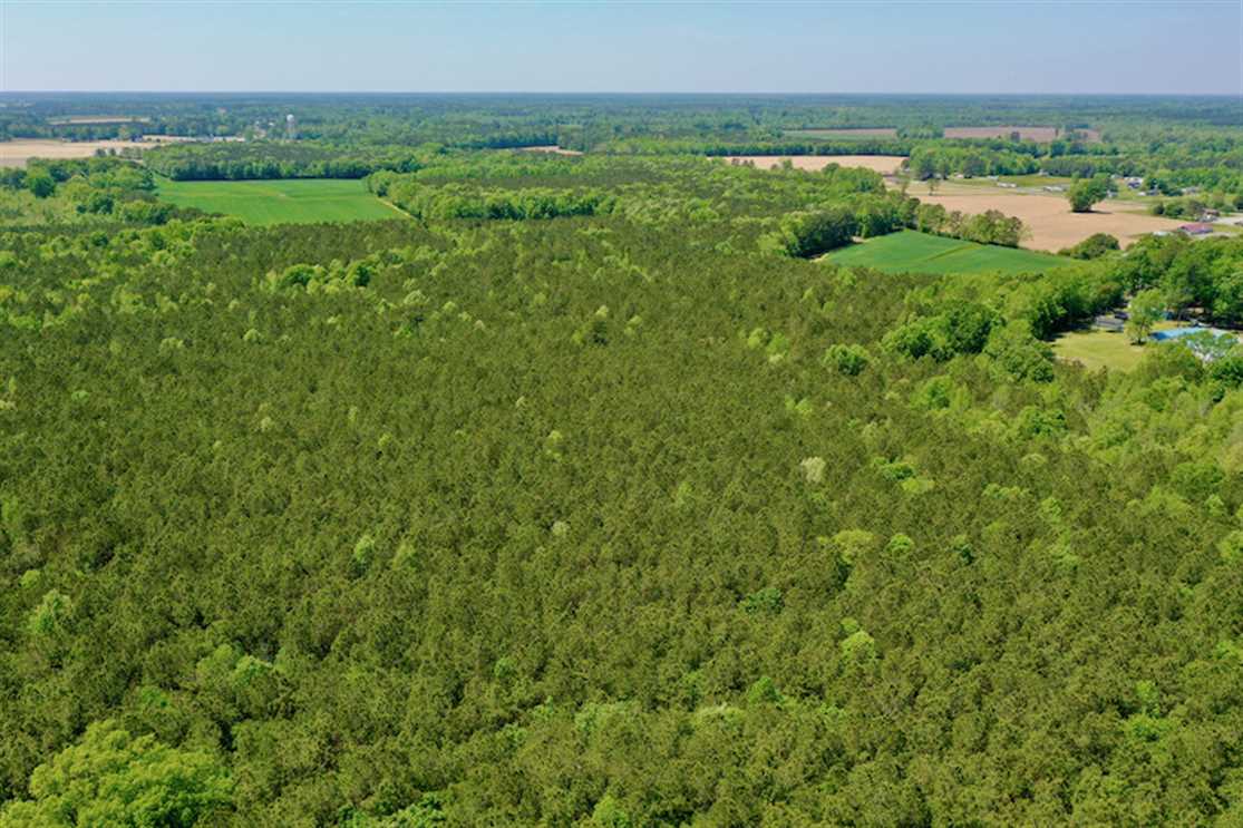 17.7 Acres of Land for sale in hertford County, North Carolina