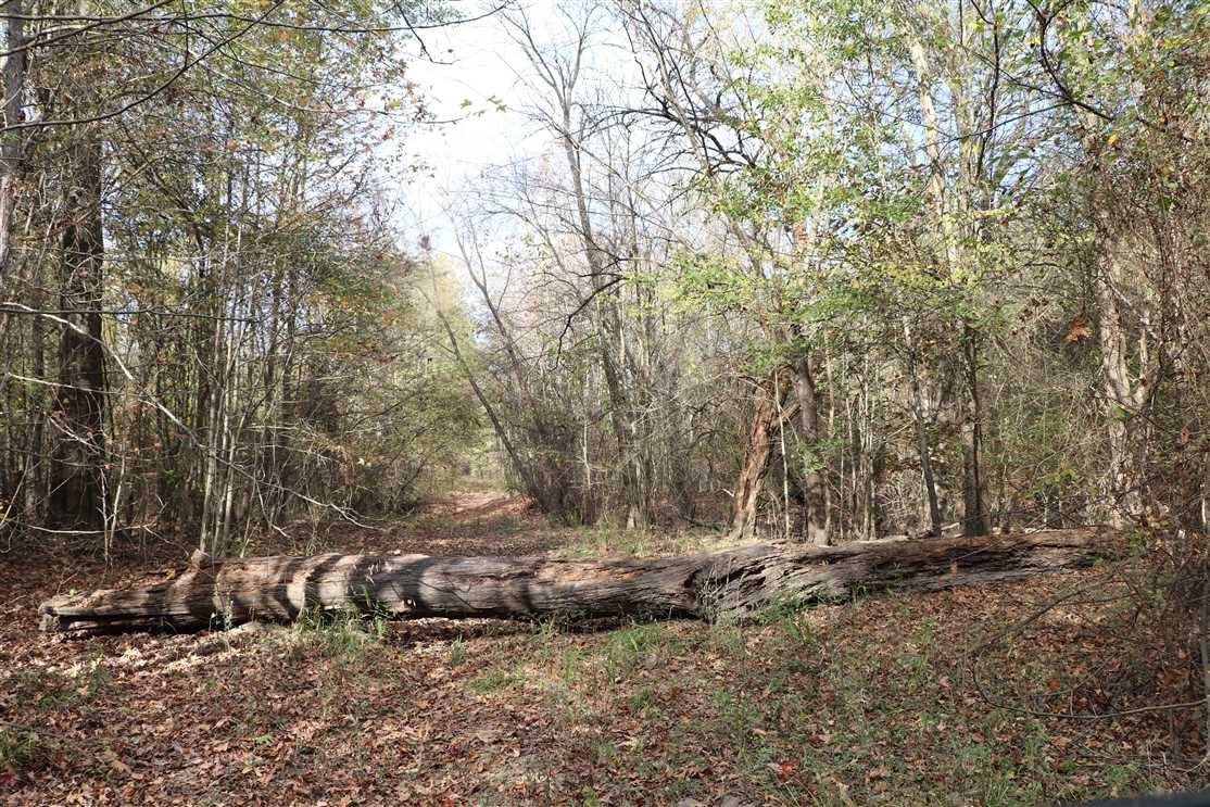 739 Acres of Recreational land for sale in Saltillo, hopkins County, Texas