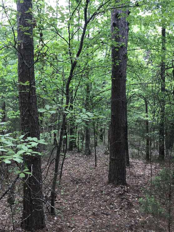 Recreational real estate available to buy
