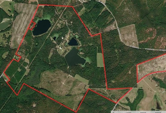 550 Acres of Land for Sale in kershaw County South Carolina