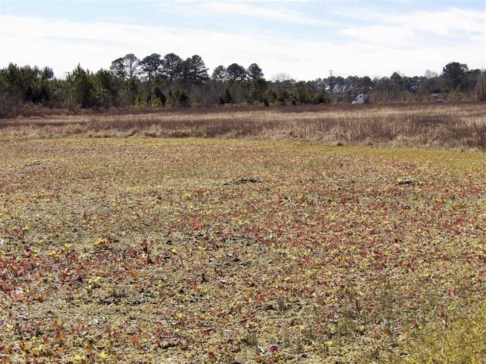 Property for sale at Off Carver Rd