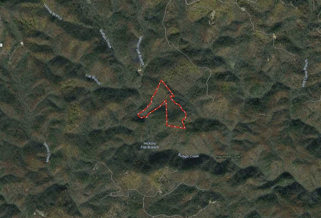 40.87+/- Acres in Boone, Watagua County Real estate listing
