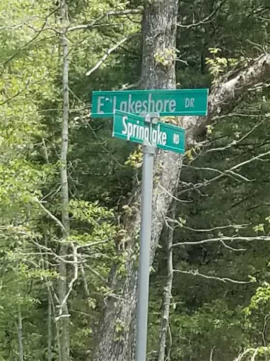 Beautiful, 0.5 +/- Acres lake lot on Spring Lake in Sharp County, Ozark Acres, AR 72482. Real estate listing