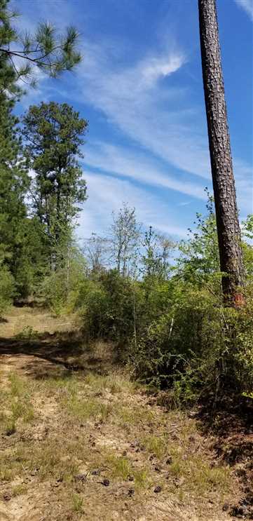 sabine County, Louisiana property for sale