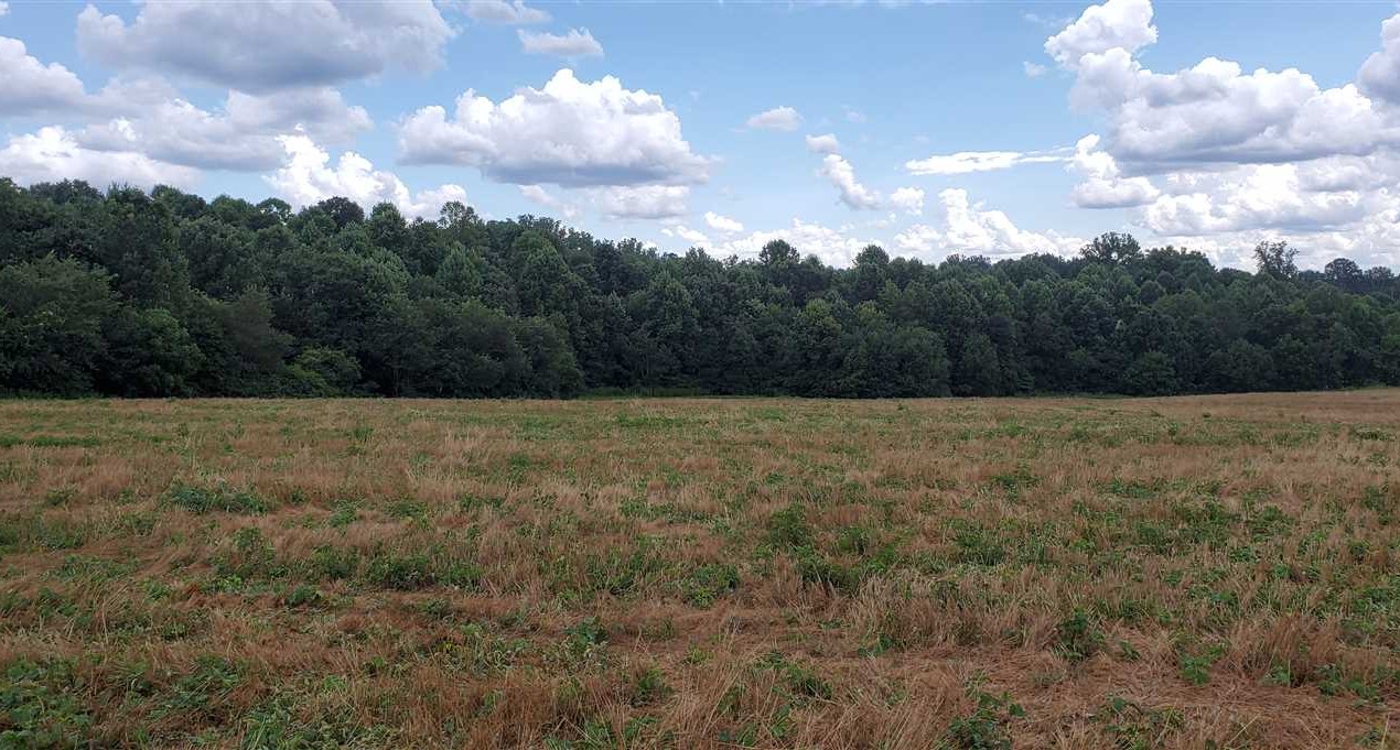 Newton land available for purchase