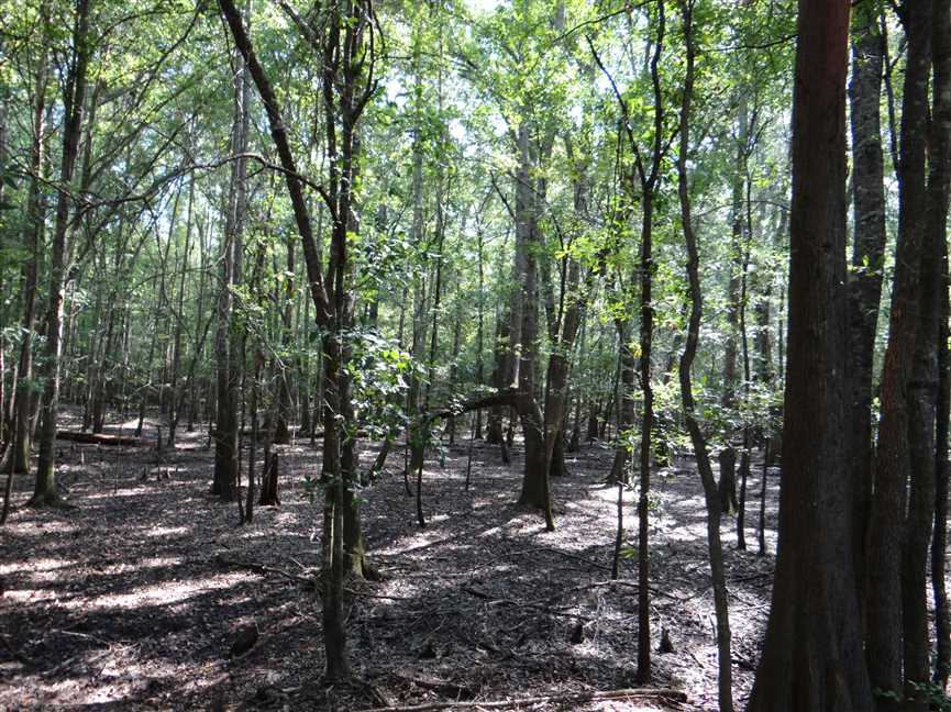 Land for sale at