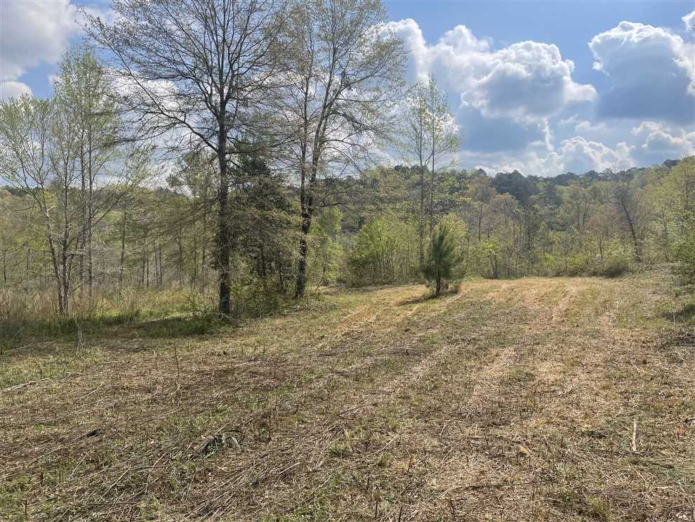 LOT#6 Bankhead Shores with Sipsey River Frontage, Double Springs, Alabama Real estate listing