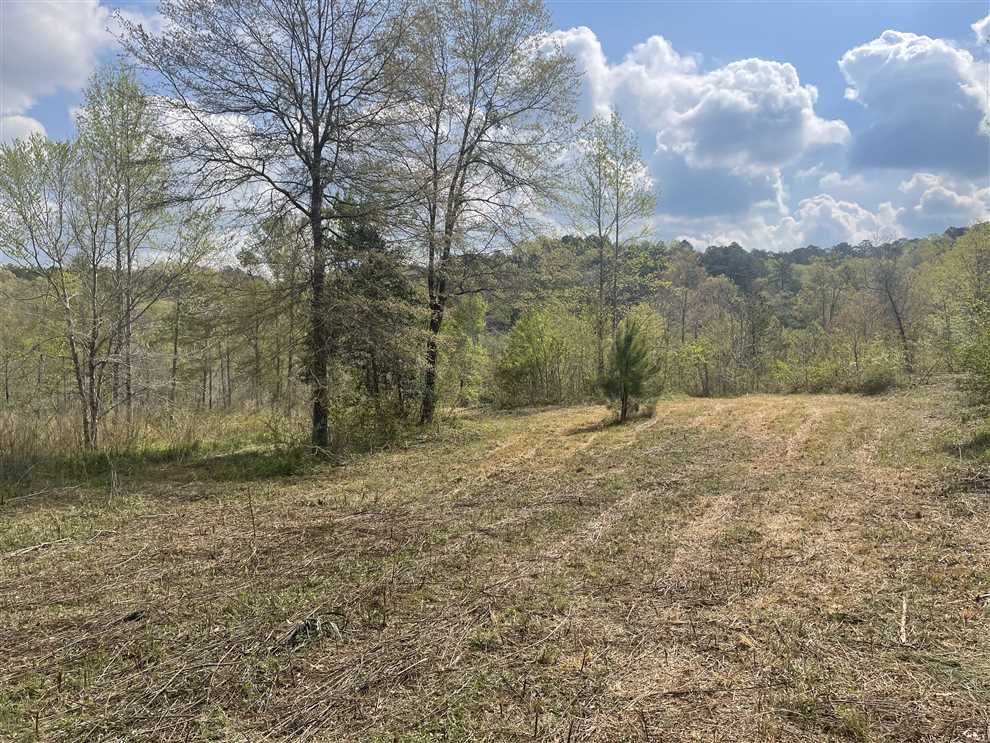 LOT#6 Bankhead Shores with Sipsey River Frontage, Double Springs, Alabama Real estate listing