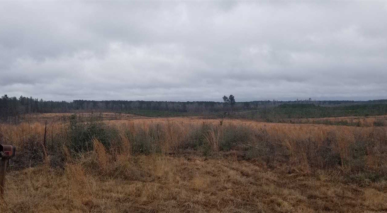 Recreational land real estate to buy in winn County LA