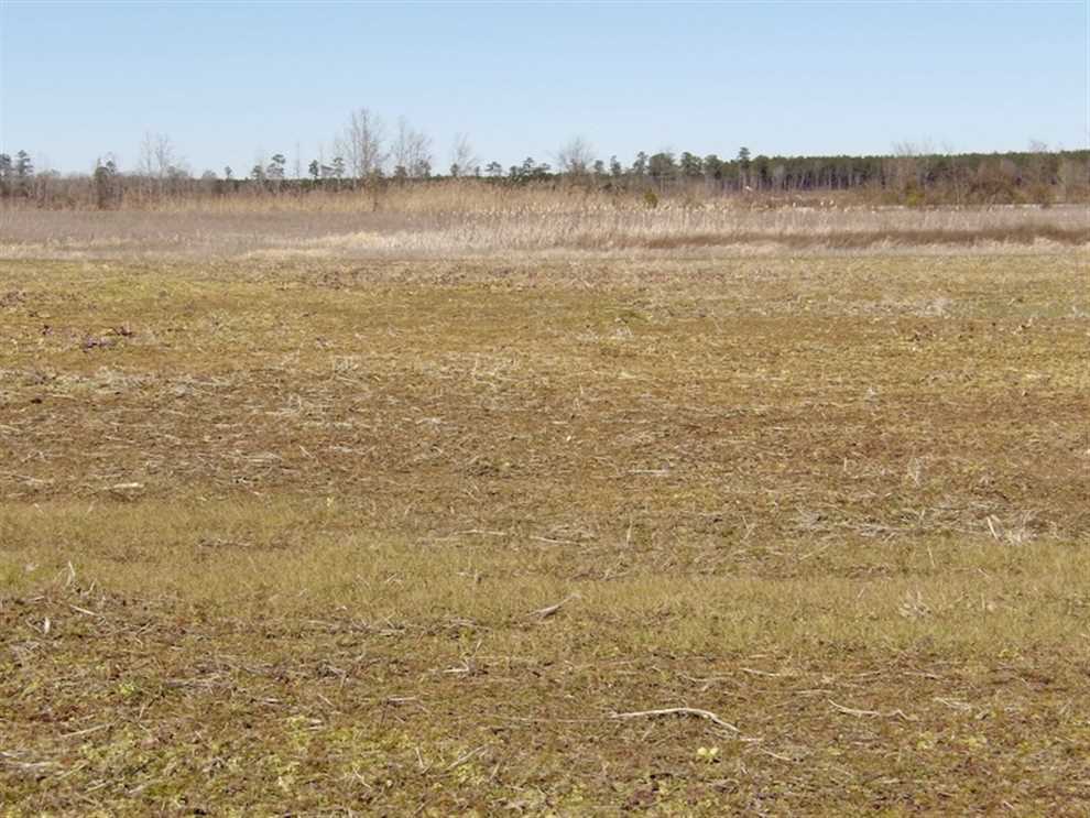 Houses and land for sale in Virginia