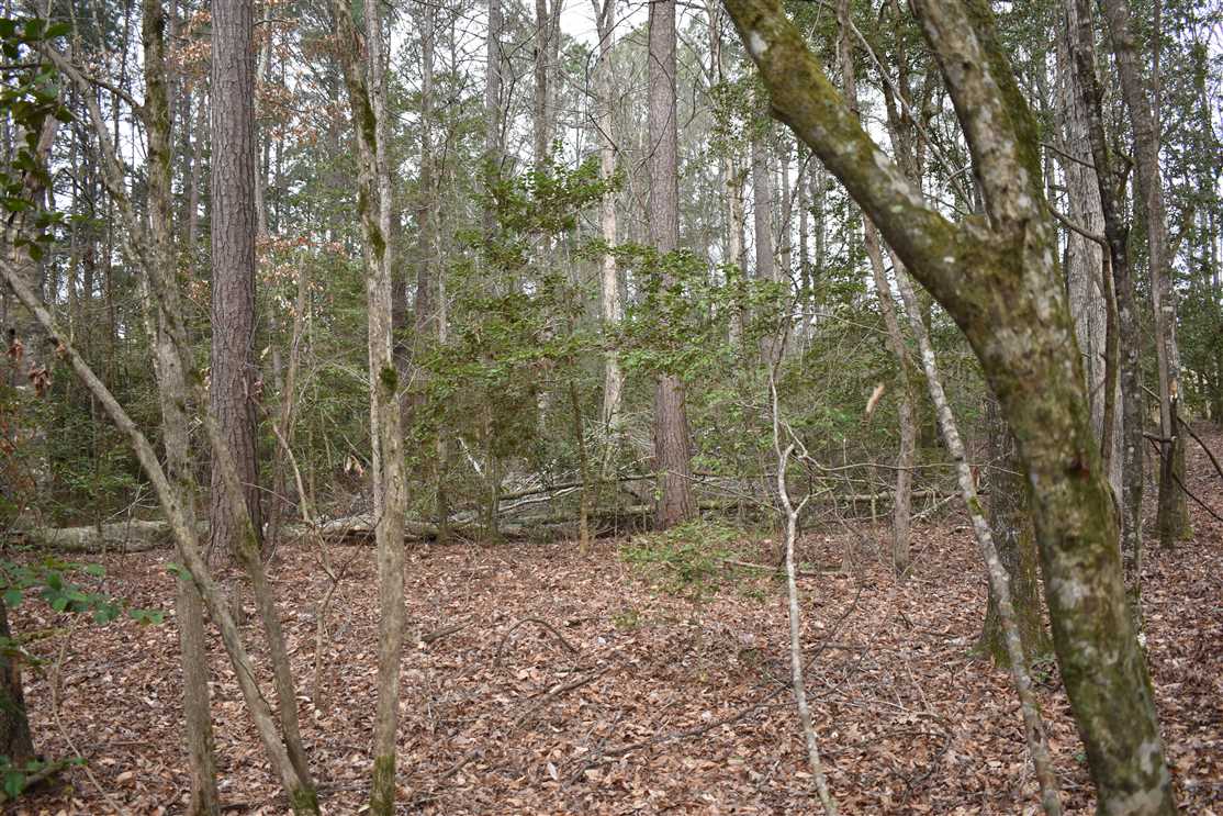 Land for sale to buy in 71858 zip code