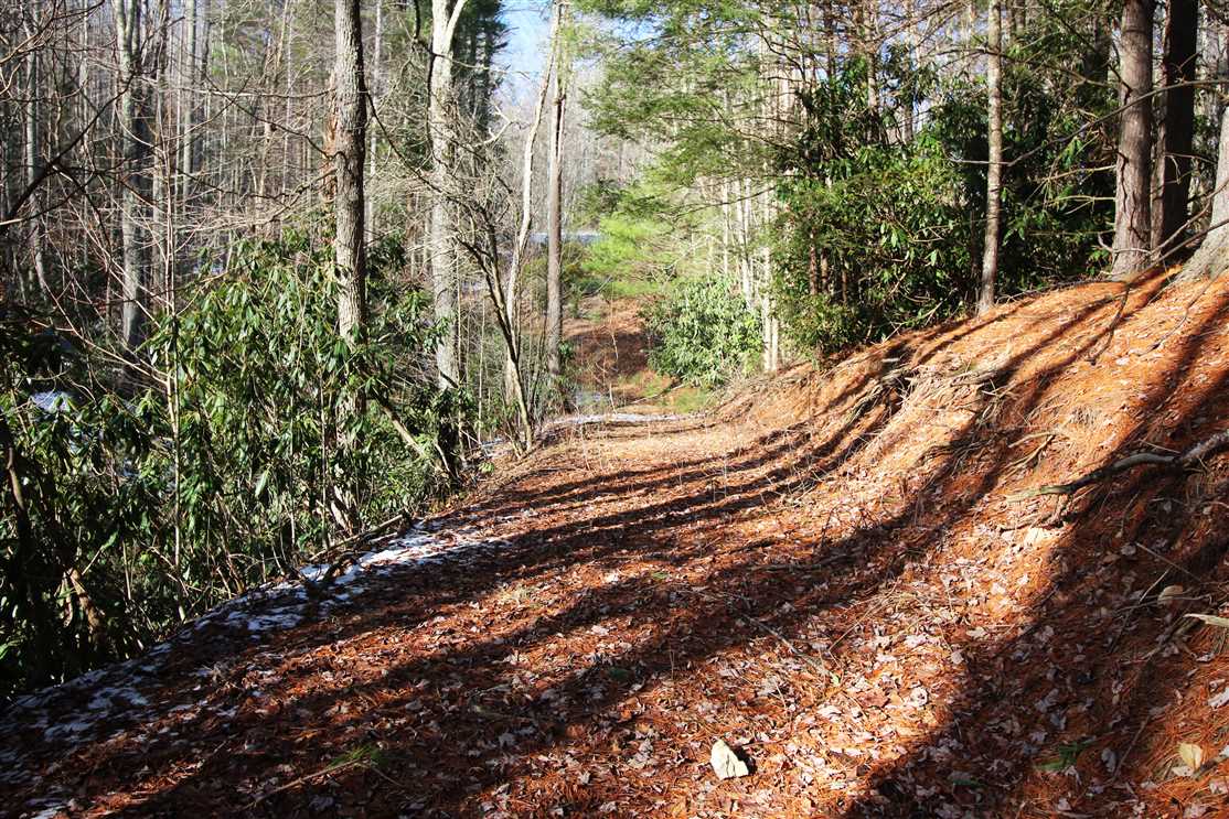 Houses and land for sale in North Carolina