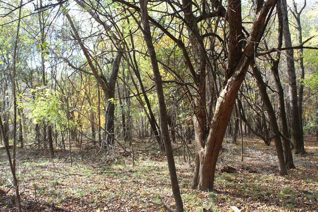 95 Acres of Recreational land for sale in Moyers, pushmataha County, Oklahoma