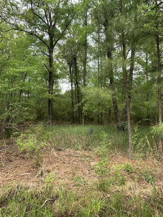 358 Acres of Land for sale in miller County, Arkansas