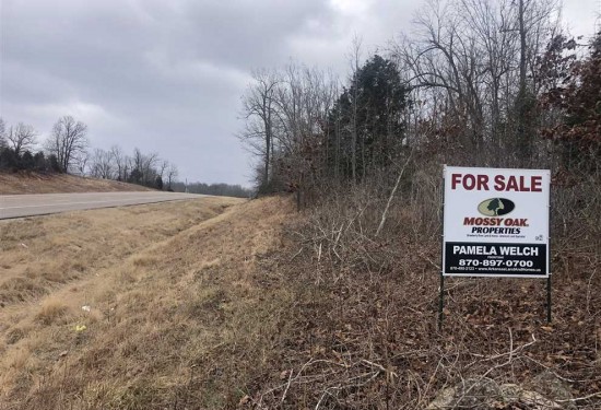 42 Acres of Land for Sale in sharp County Arkansas