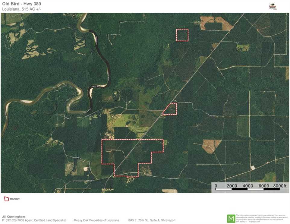514 Acres of Land for sale in beauregard County, Louisiana