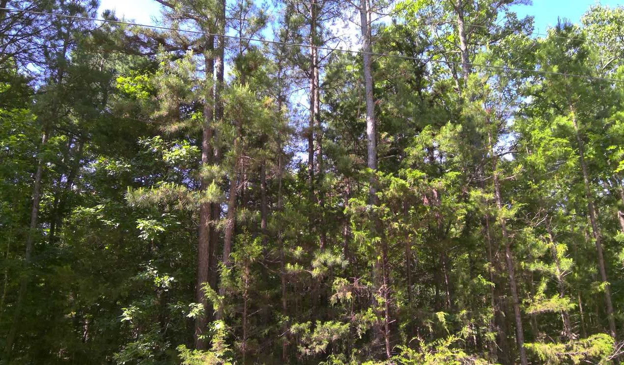 0.9641873278 Acres of Land for Sale in sharp County Arkansas