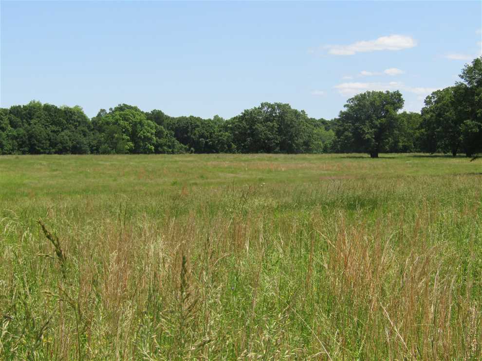 Land for sale to buy in 74743 zip code