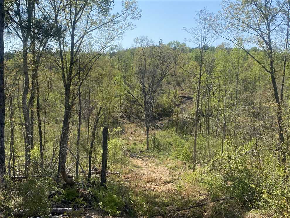 Houses and land for sale in Alabama