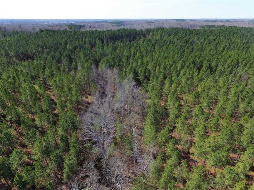 Land for sale at Off Jeffress Rd