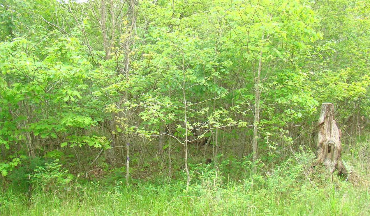 Recreational land real estate to buy in howell County MO