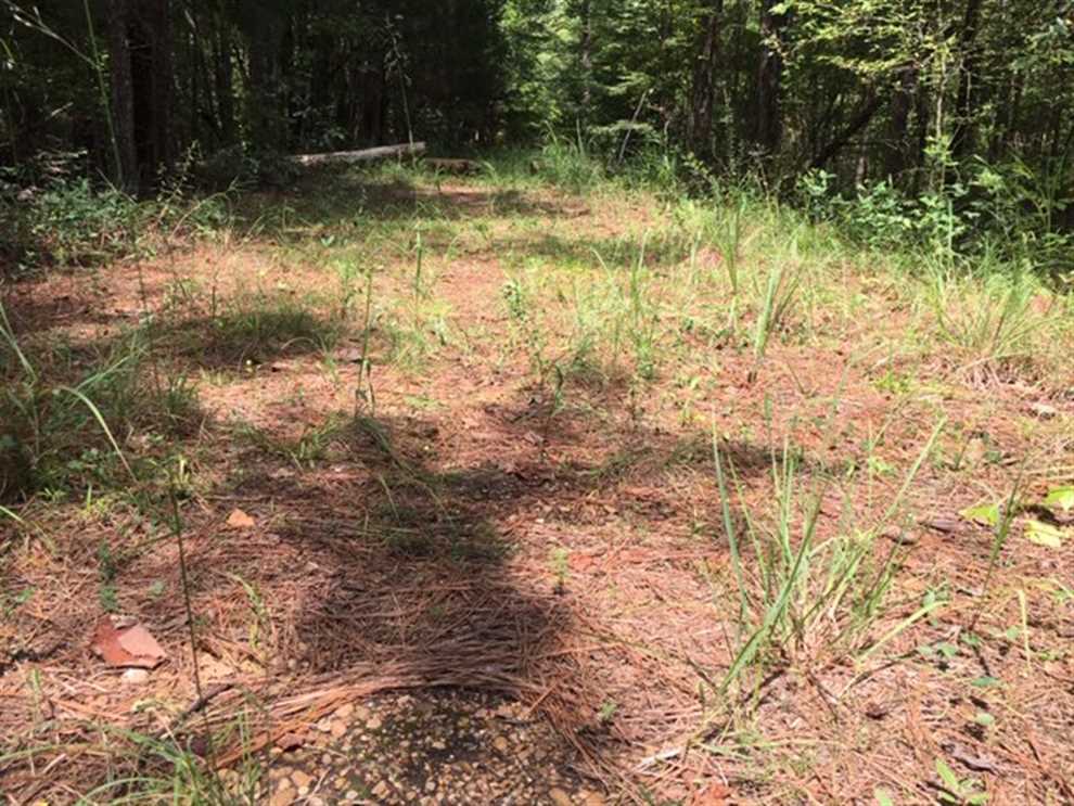 47 Acres of Land for sale in choctaw County, Mississippi