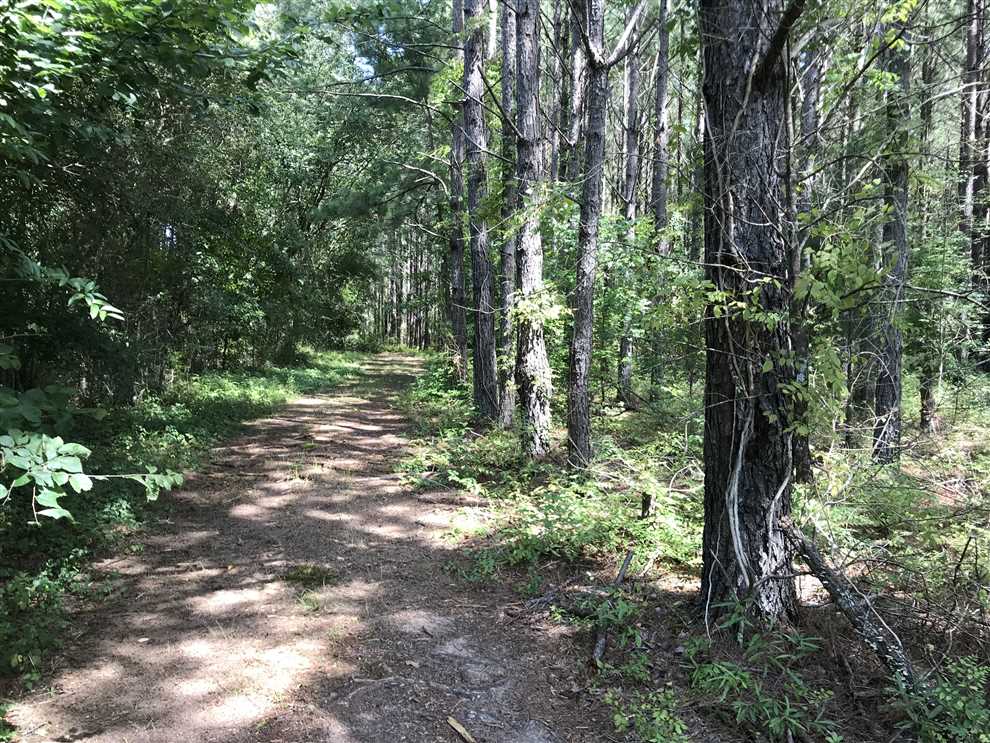 455 Acres of Recreational land for sale in Columbus, lowndes County, Mississippi