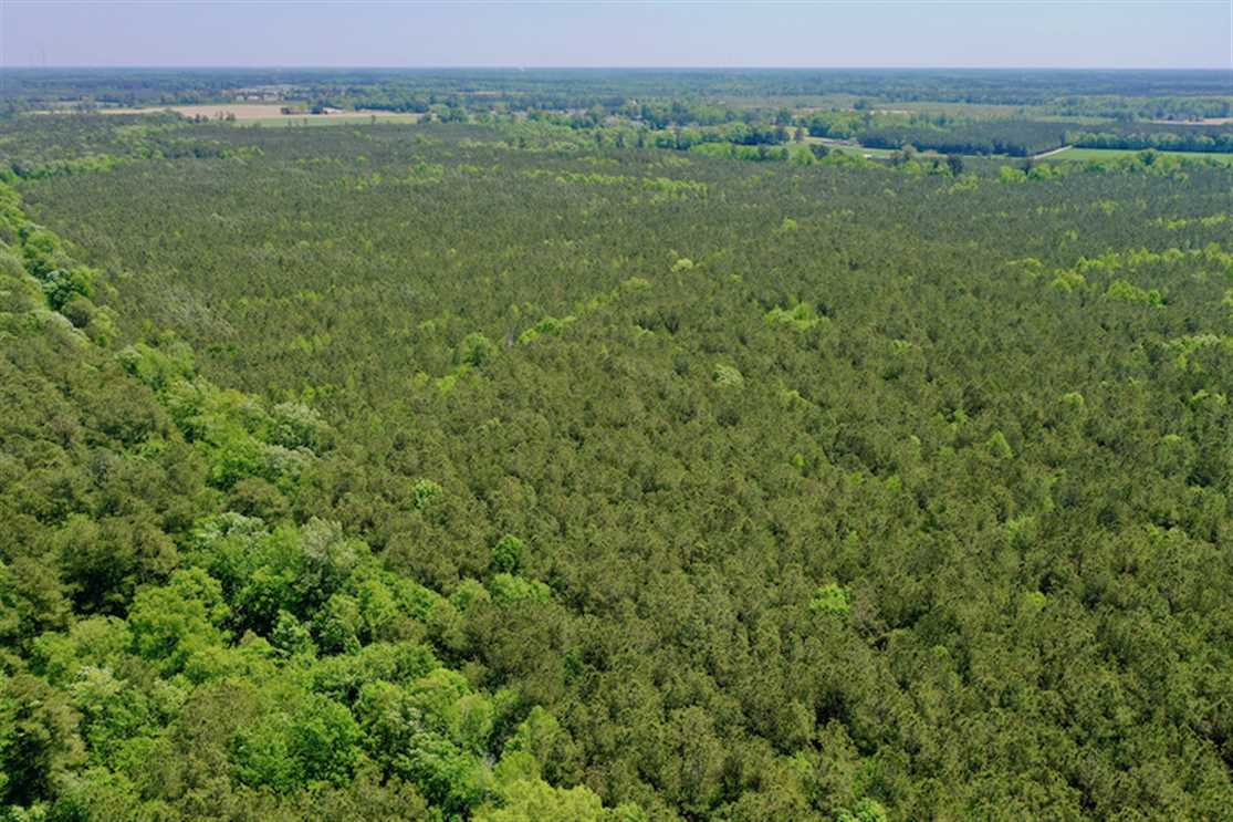 Property for sale at Off Hwy 561