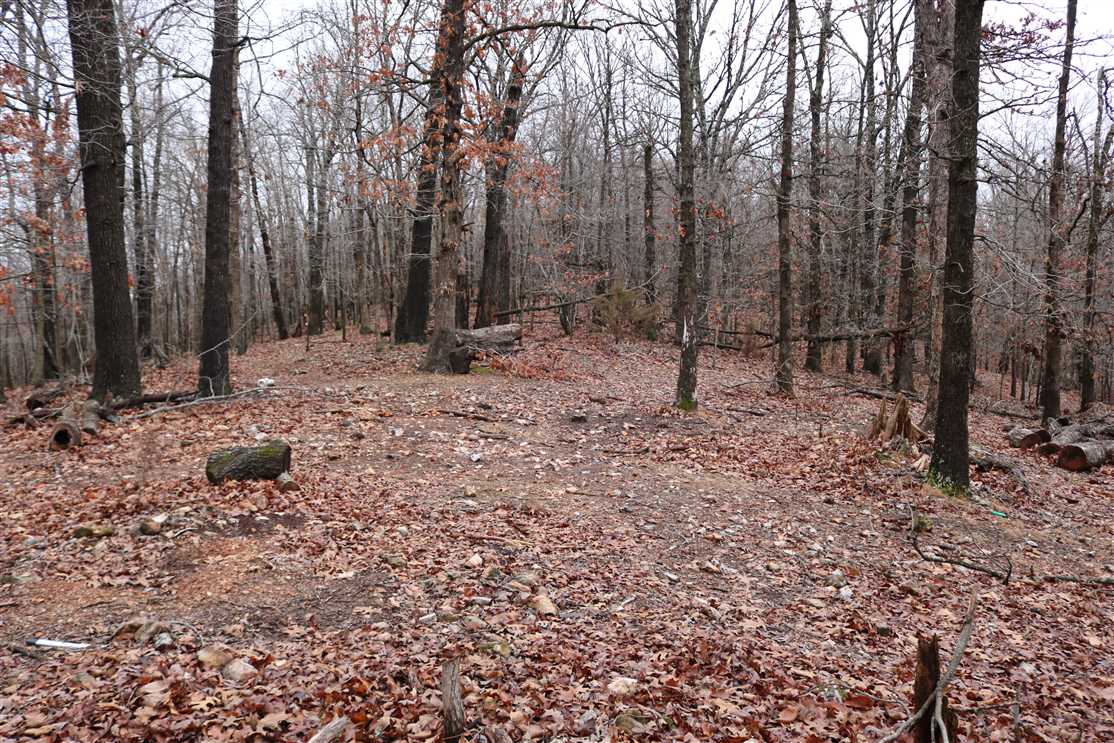 Land for sale at esculapia hollow rd