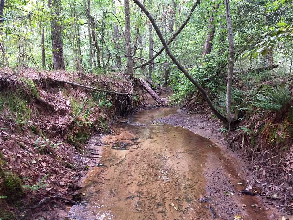 Land for sale to buy in 71235 zip code