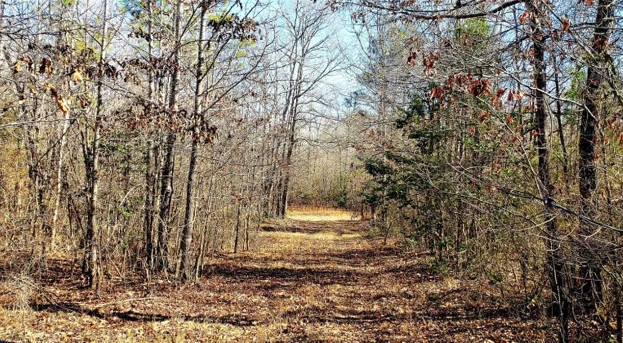 68 ACRE GREAT HOME SPOT, POND, FIELDS, SMALL CREEK Real estate listing