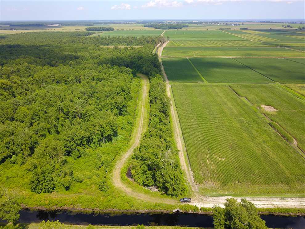 Land for sale to buy in 27826 zip code