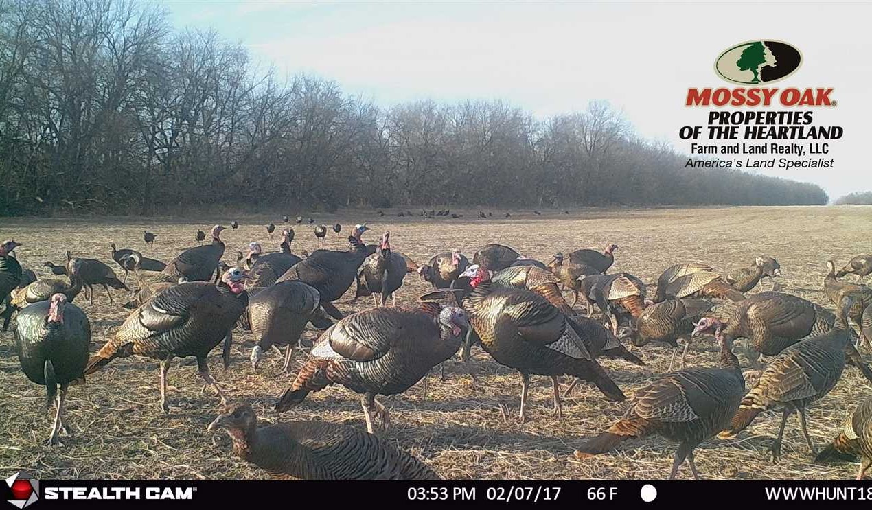 325 Acres of Land for sale in allen County, Kansas