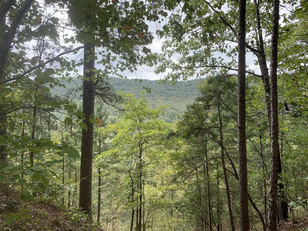 Land for sale at