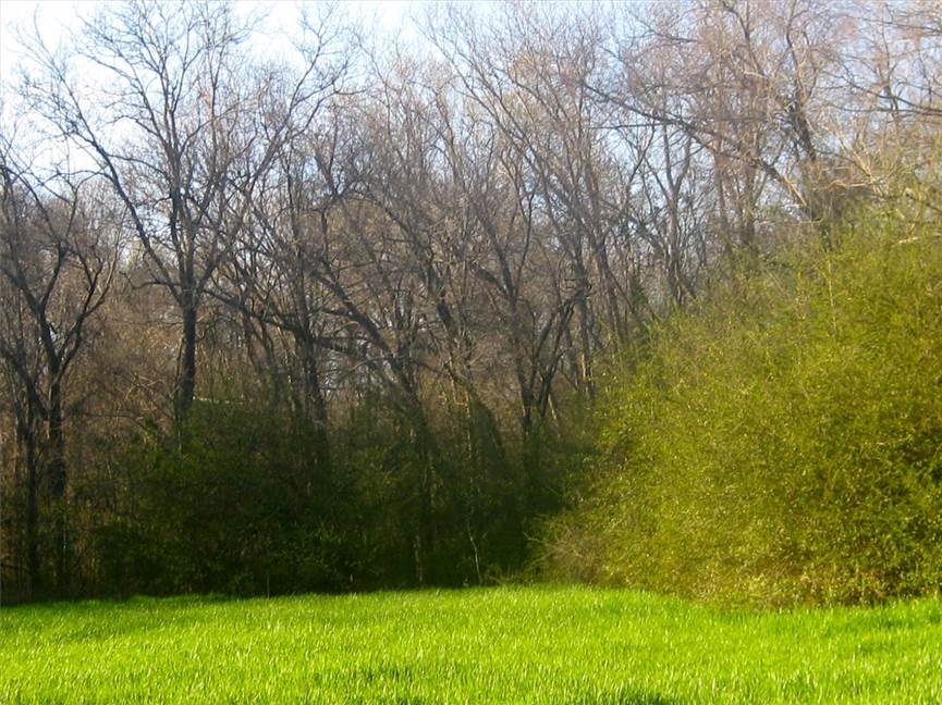120 +/- Ac. Prime Deer and Duck Hunting, West Carroll Parish, LA 71263, near Oak Grove, LA Real estate listing