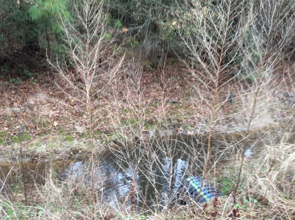 RD Ellender Road Tract, Calcasieu Parish, 50 Acres +/- Real estate listing