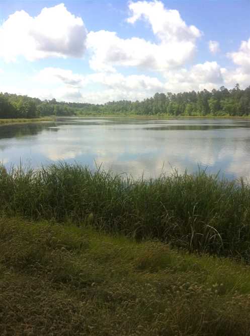 Fish Lake Refuge, Caddo Parish, 486 Acres +/- Real estate listing