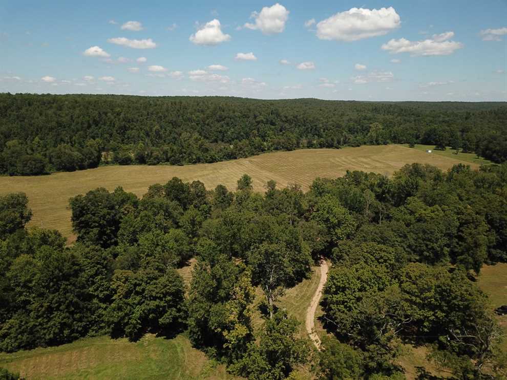 Farmland real estate available to buy