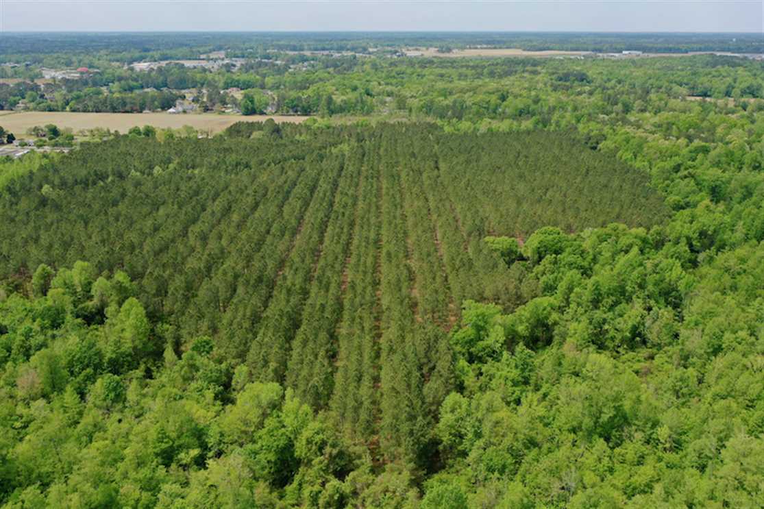 102 Acres of Recreational land for sale in Washington, beaufort County, North Carolina
