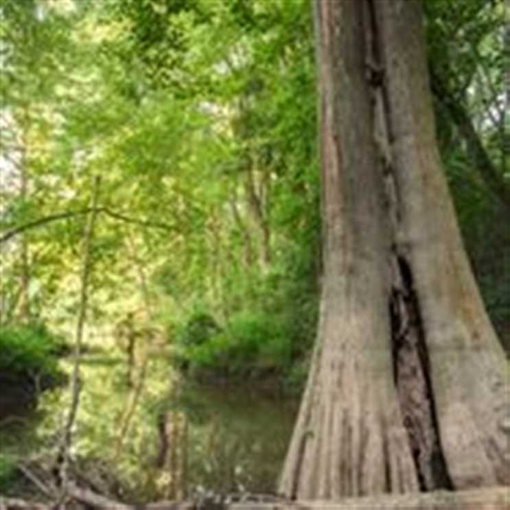 Land for sale to buy in 74728 zip code