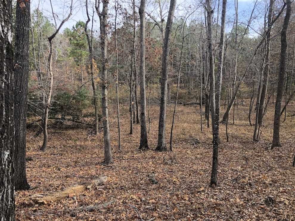Houses and land for sale in South Carolina