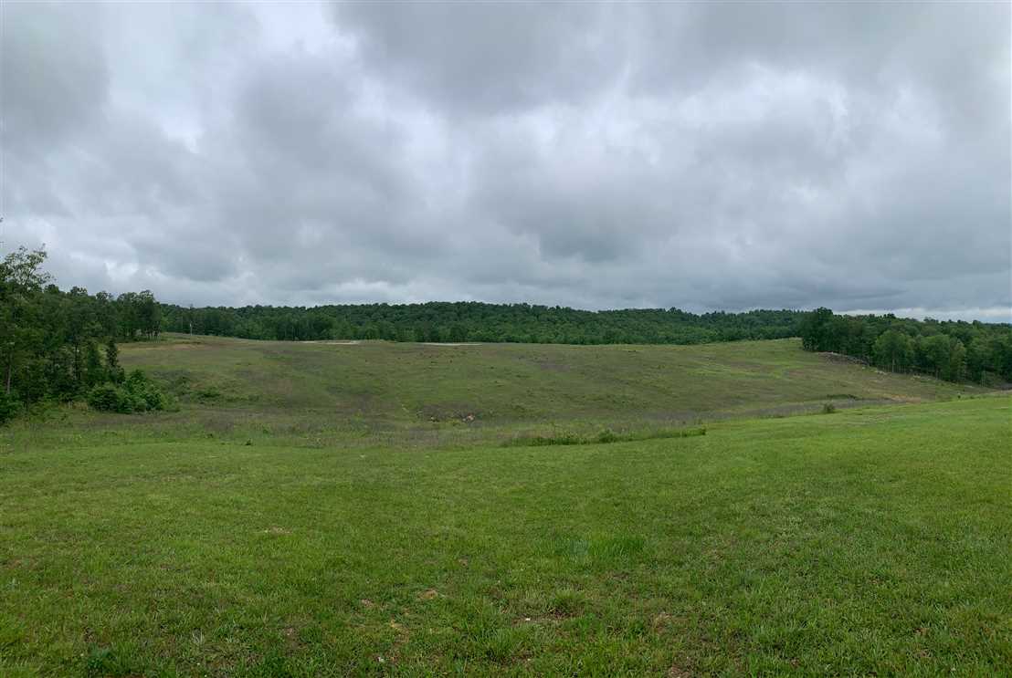 Land for sale to buy in 65441 zip code