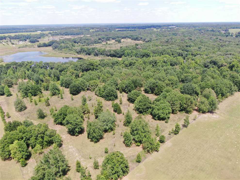 88.39 Acres of Land for sale in madison County, Florida