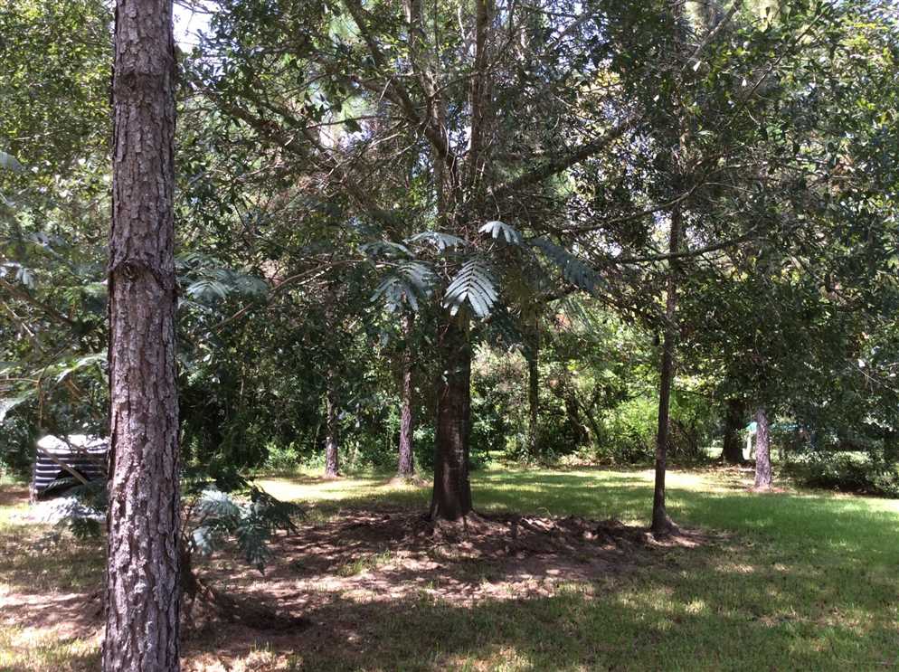 11 Acres of Recreational land for sale in Ragley, beauregard County, Louisiana