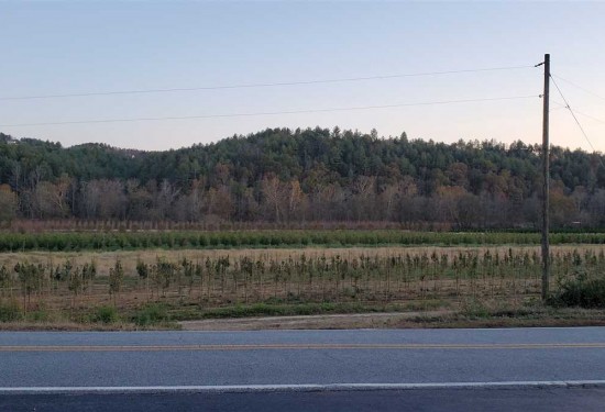 1.75 Acres of Land for Sale in caldwell County North Carolina