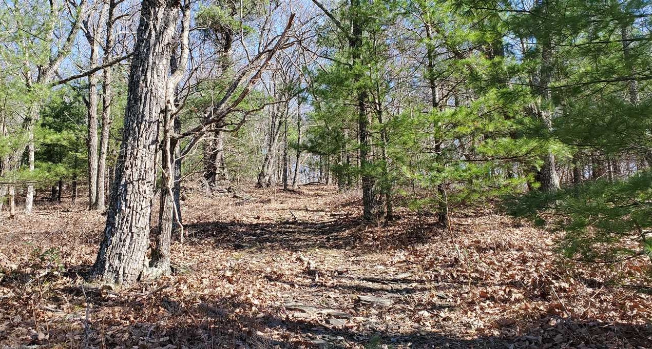 50 Acres of Land for sale in ashe County, North Carolina